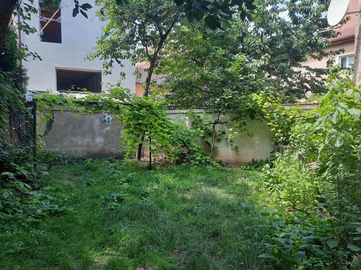 Pif Apartments Sadoveanu Braşov Eksteriør billede